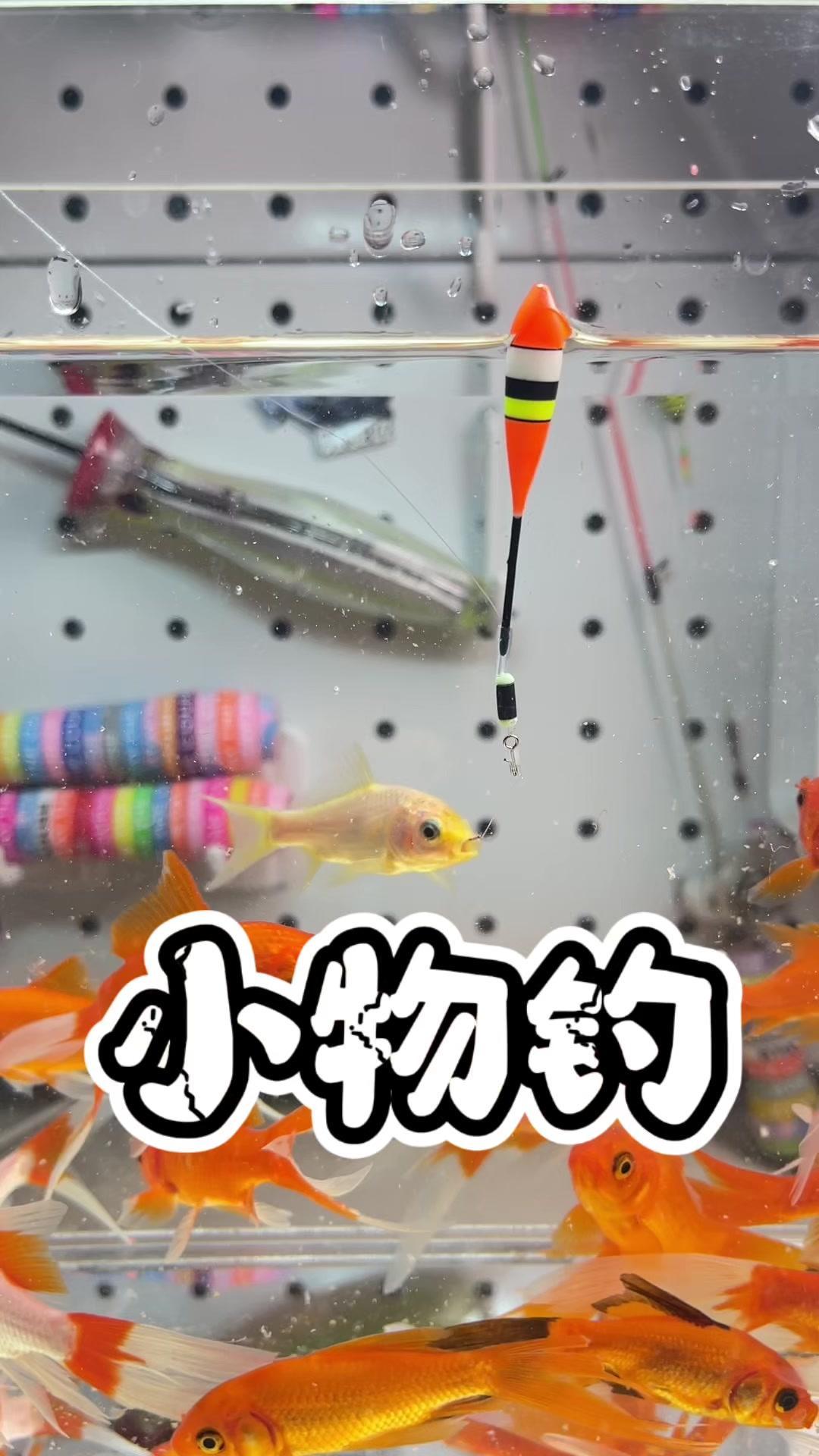 🌟各个配件都很迷你，费眼的鱼钩，不用调漂，懒人的福音。

1️⃣迷你浮漂。
2