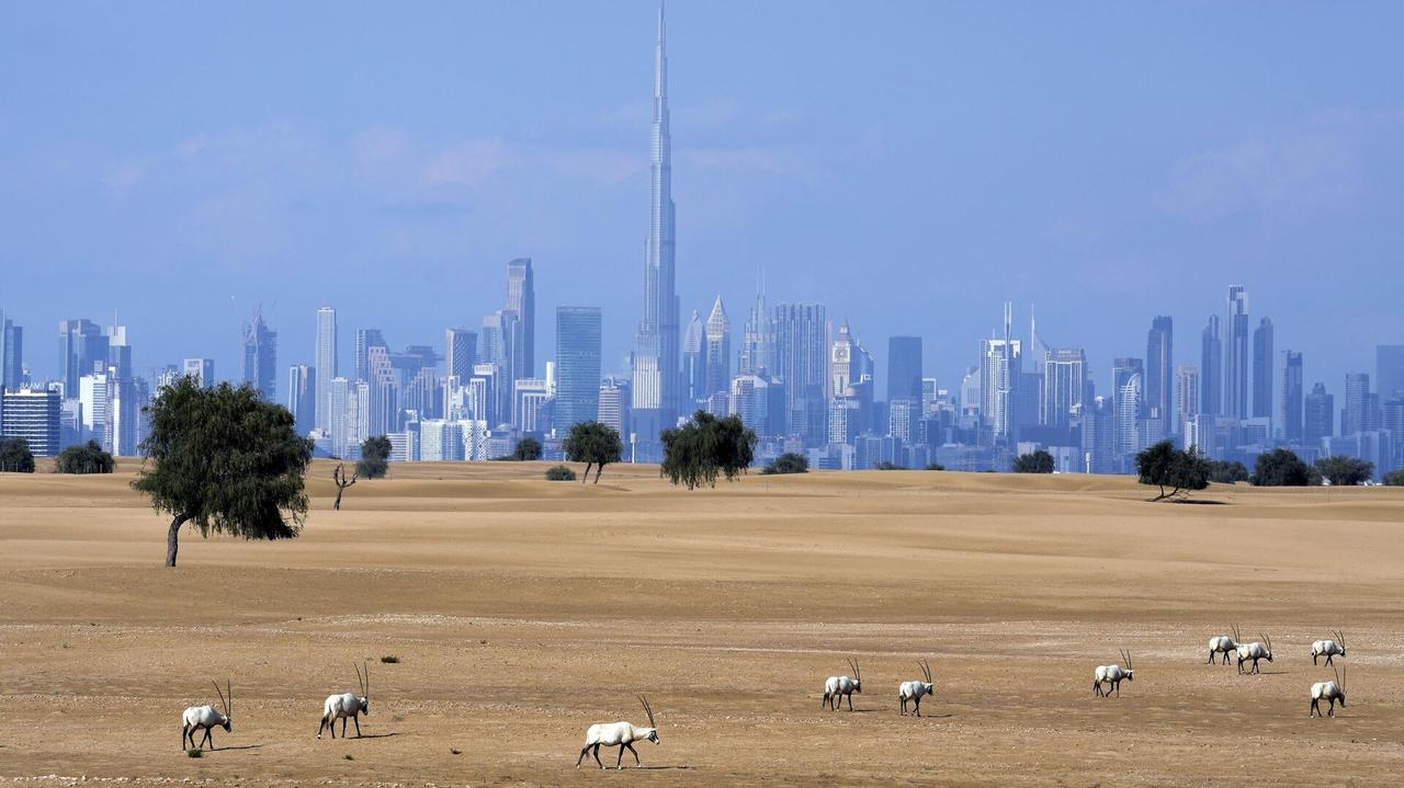 金融时报：从迪拜疏散一个有两个大人和两个孩子的家庭，私人航班费用高达25万美元