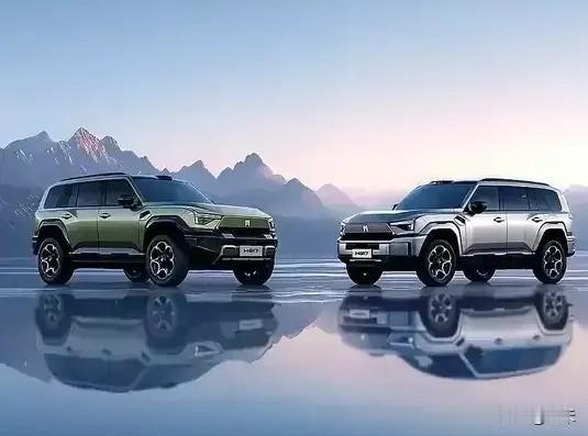 引发国际关注的中国5大企业：
1、华为：被视作“技术铁幕”难以封锁的代表；
2、