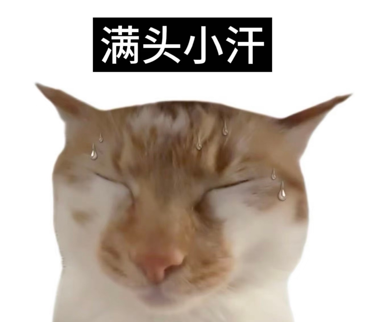 集帅们还好大家在外面没养人，没真有小三，不然星星真会来抓奸，你瞧这事闹得我们只是