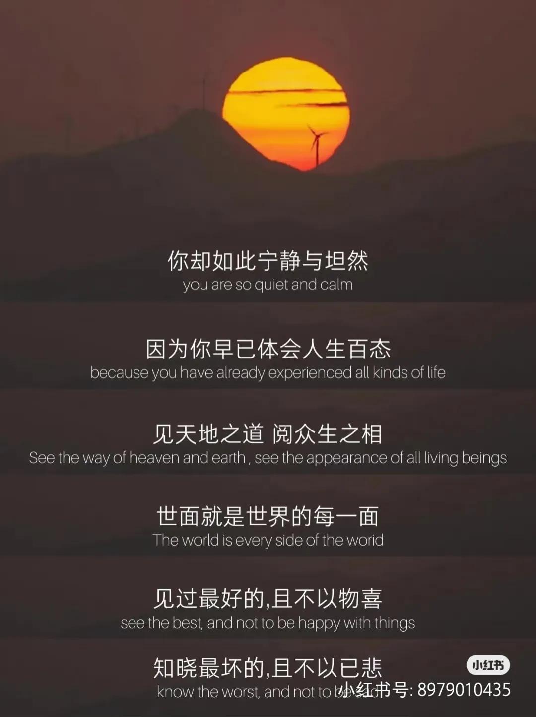 朱雨玲是天津大学的副教授，讲话果然是言之有物。她获奖后发言既理性客观，又充满智慧