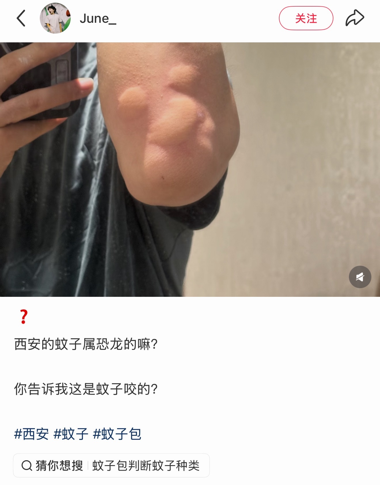 小心迪士尼发律师函 