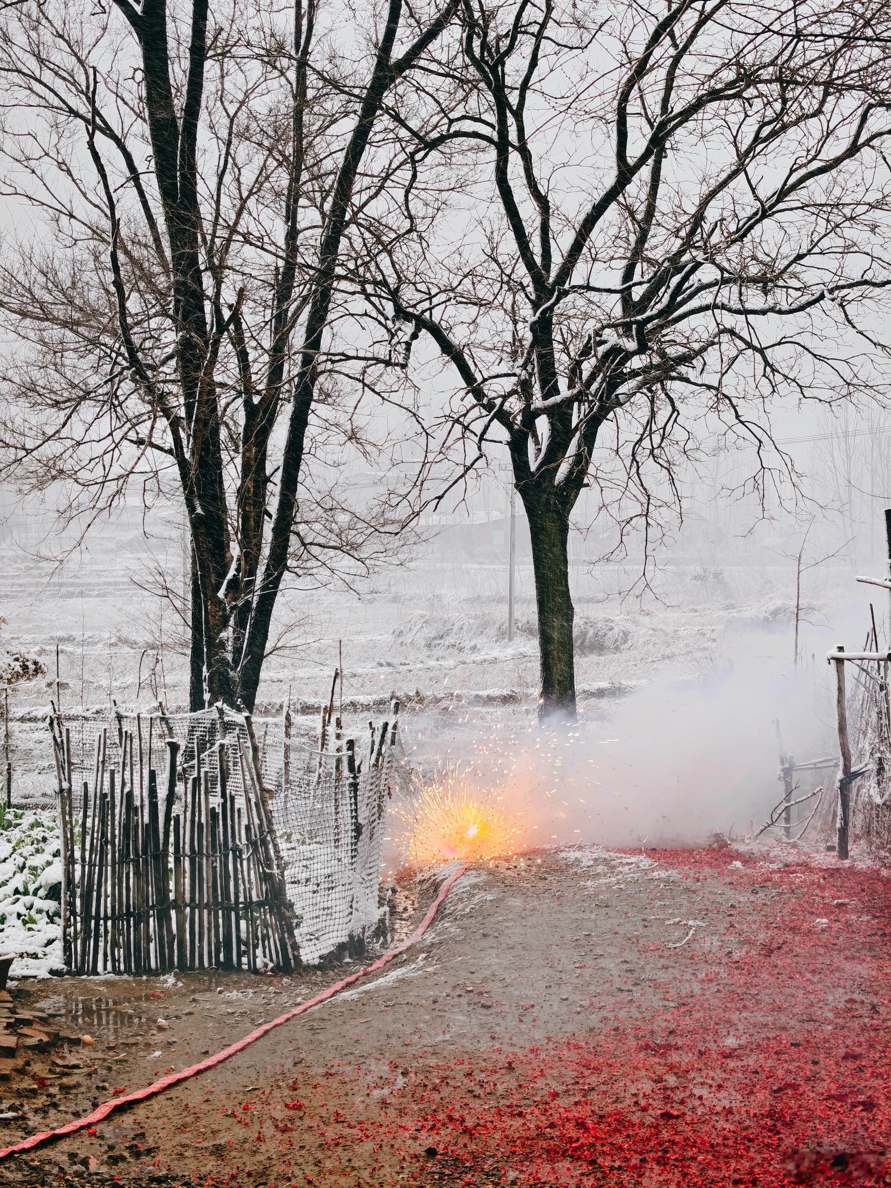 先装糖阴狗一手，然后再放炮把它吓回狗窝去