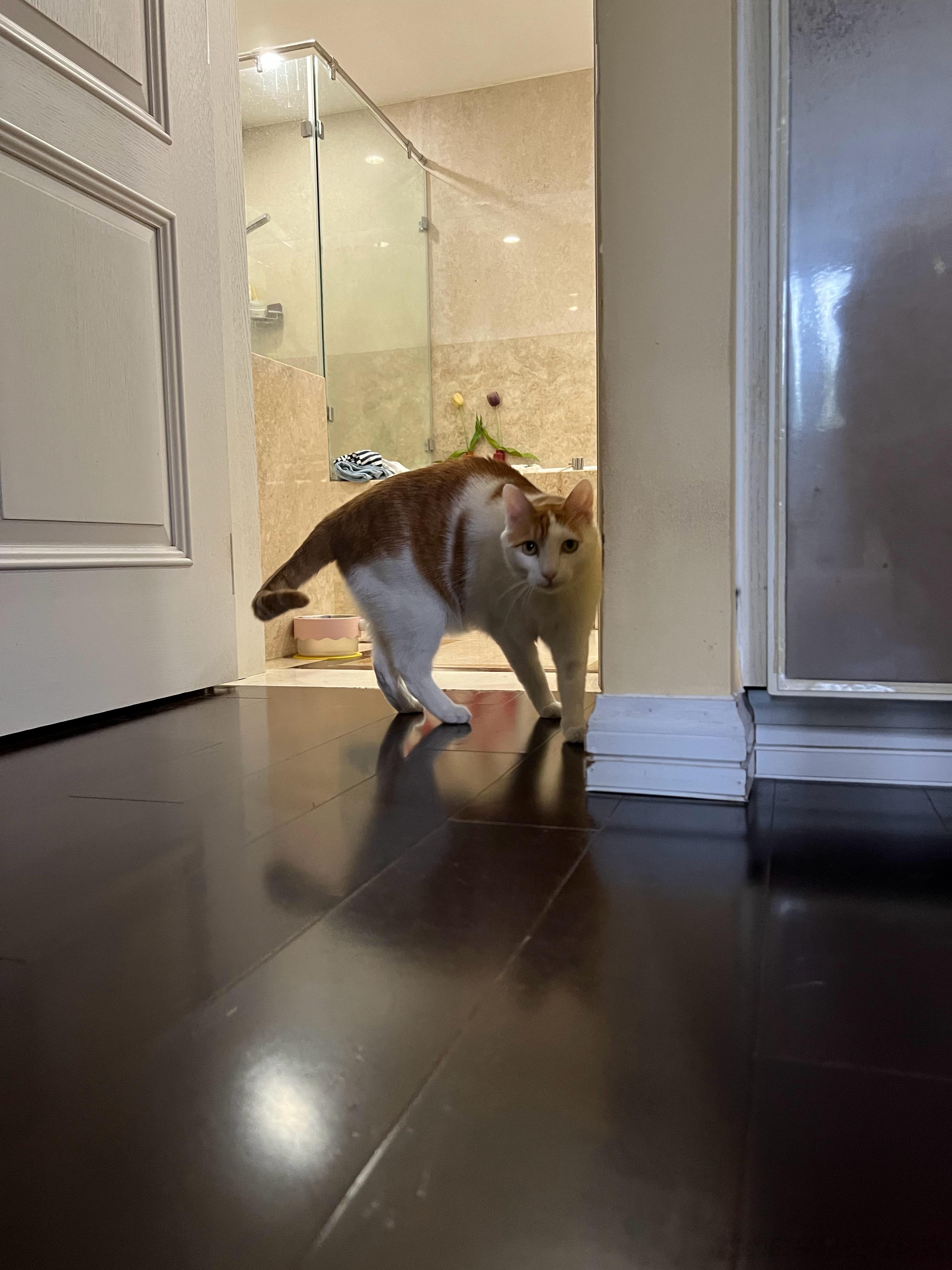 猴猴，什么时候能吃粑粑柑呀？ ​​​