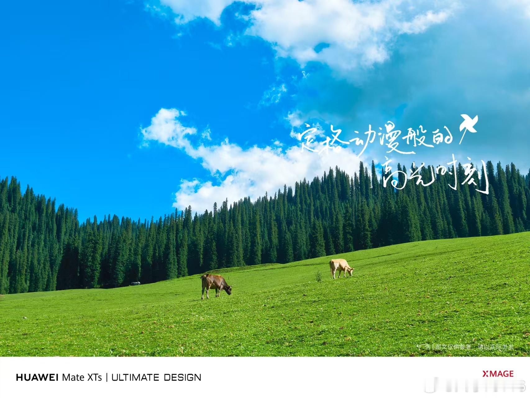 单就拍照这一块，Mate XTs的体验是真的好啊。摄影素质本就优秀，加上这高清大