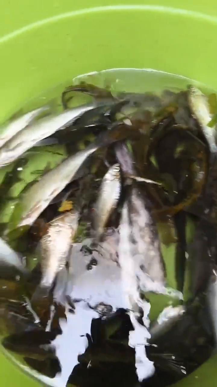 今天天气真好，我的意思是你是人间的四月天。