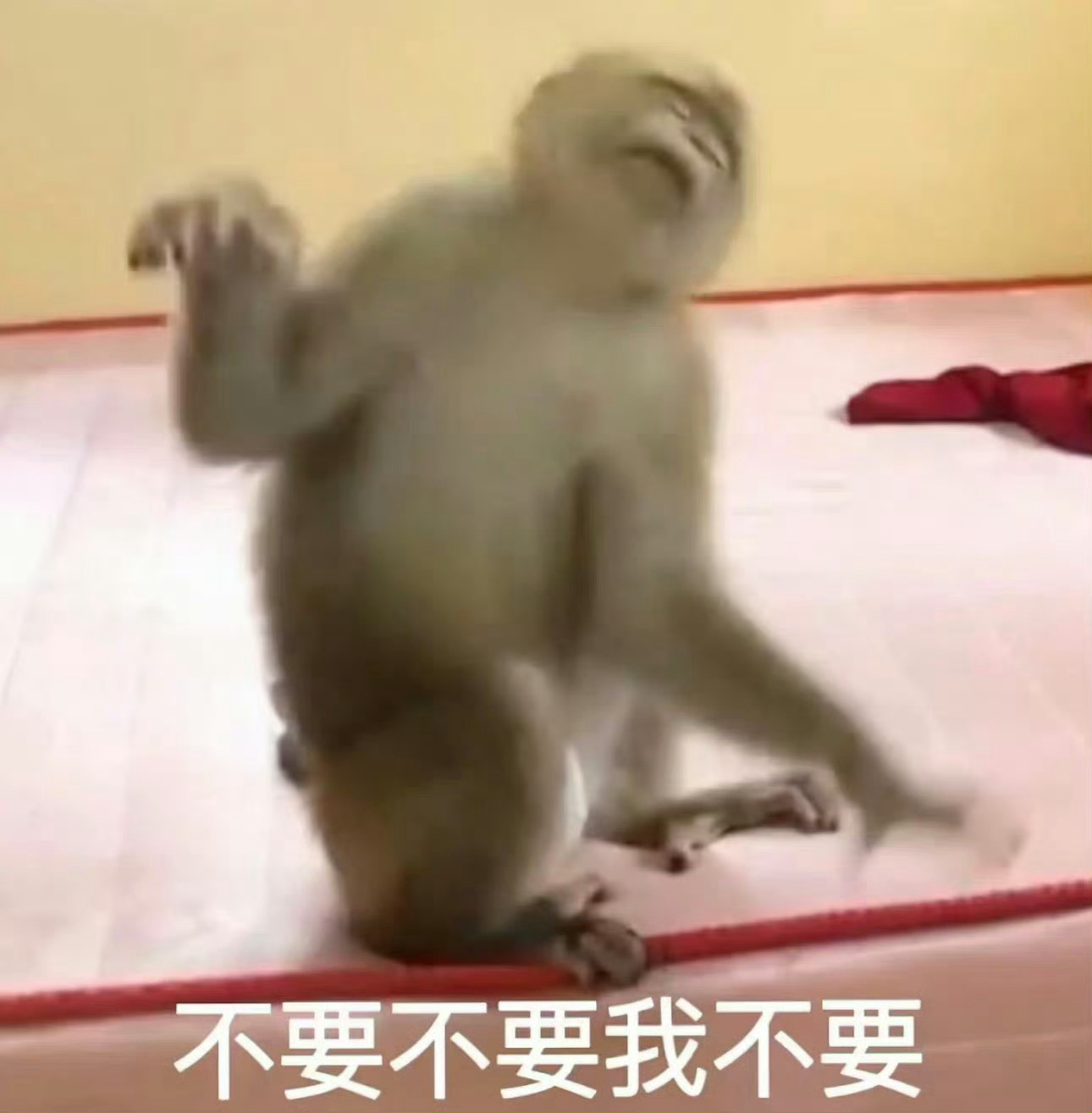 前几天有点嗓子疼，以为是春节巡馆话说多了，半夜直接发烧起来小刀剌嗓子。春节这个班