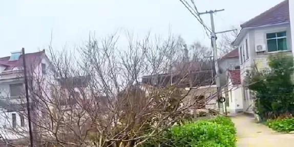 上海商榻

商柏古镇，属于青浦区金泽镇管辖。

她静卧于上海最西陲，淀山湖温柔的