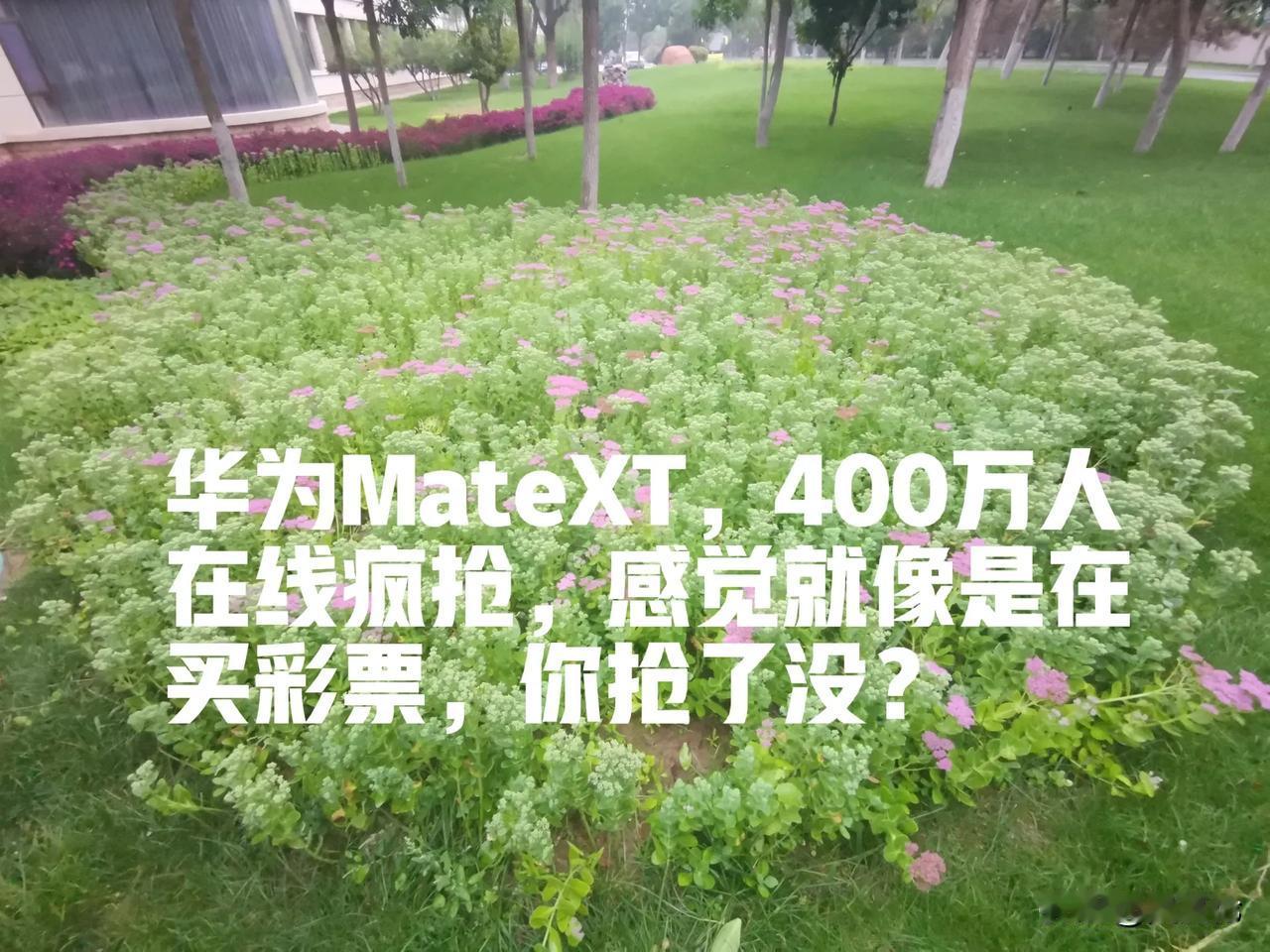 华为Mate XT三折叠手机预售那场面，简直是火得不要不要的！400万人在线疯抢