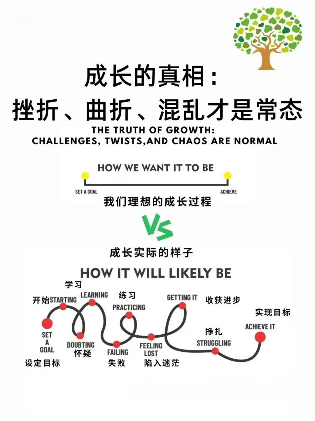 成功的真相：挫折、曲折、混乱才是常态 