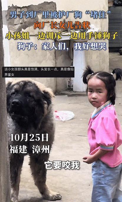 万物皆有灵性！福建，男子到朋友厂里，结果还没进门直接被厂狗“堵住”。还冲他大叫，