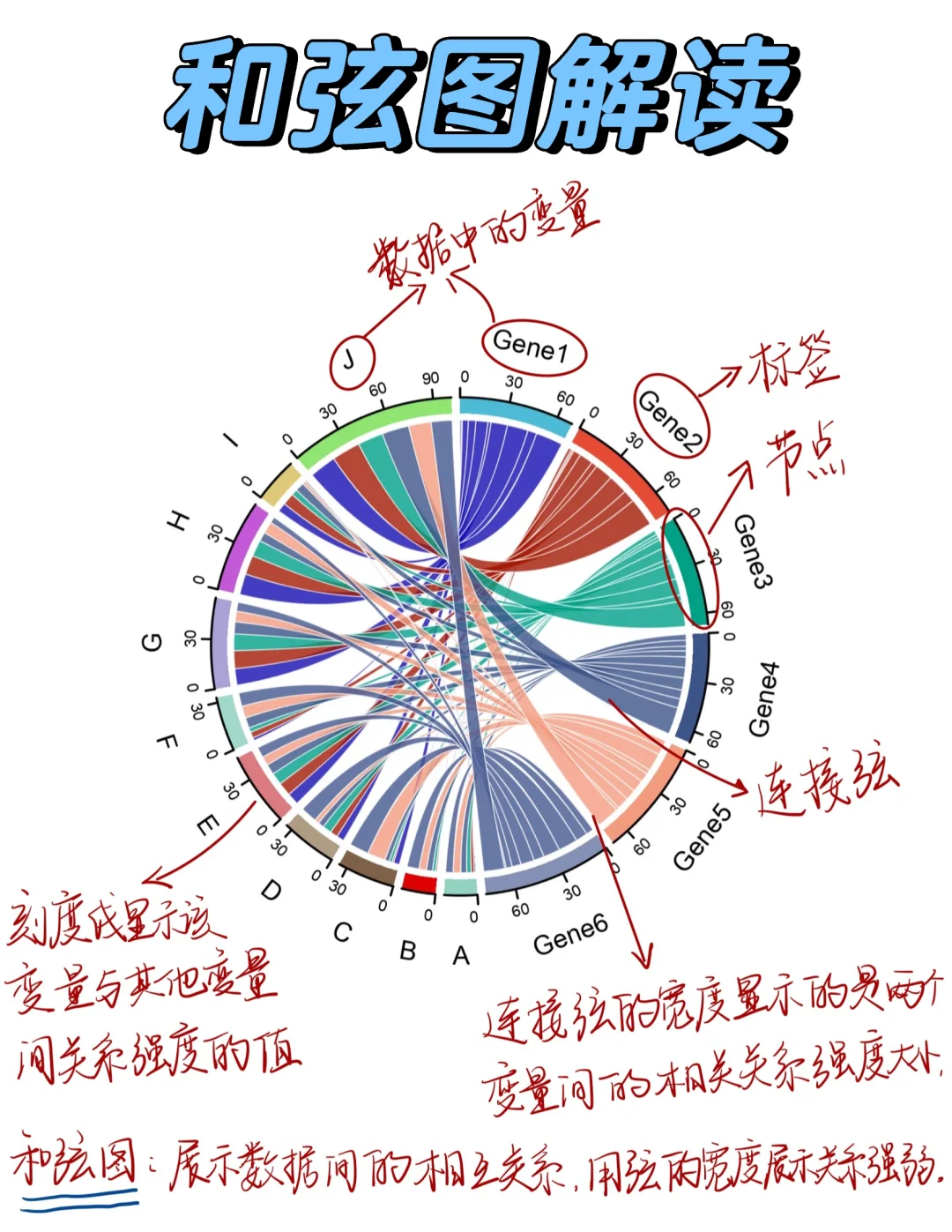 和弦图怎么看❓