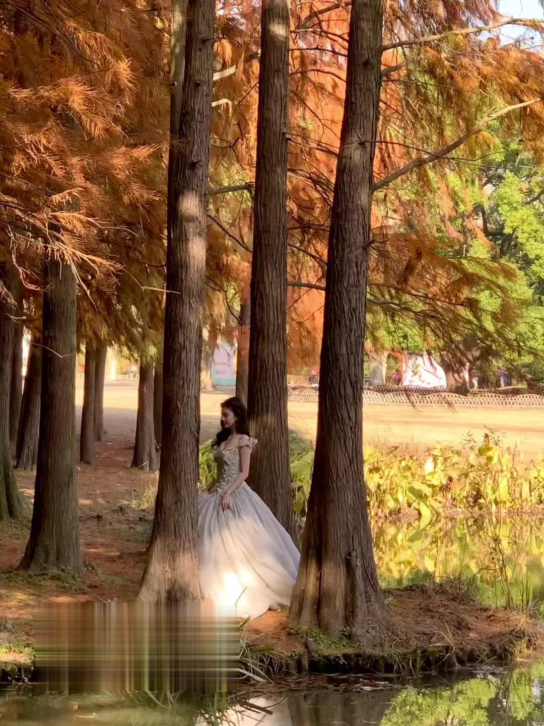 迷失森林的小鹿