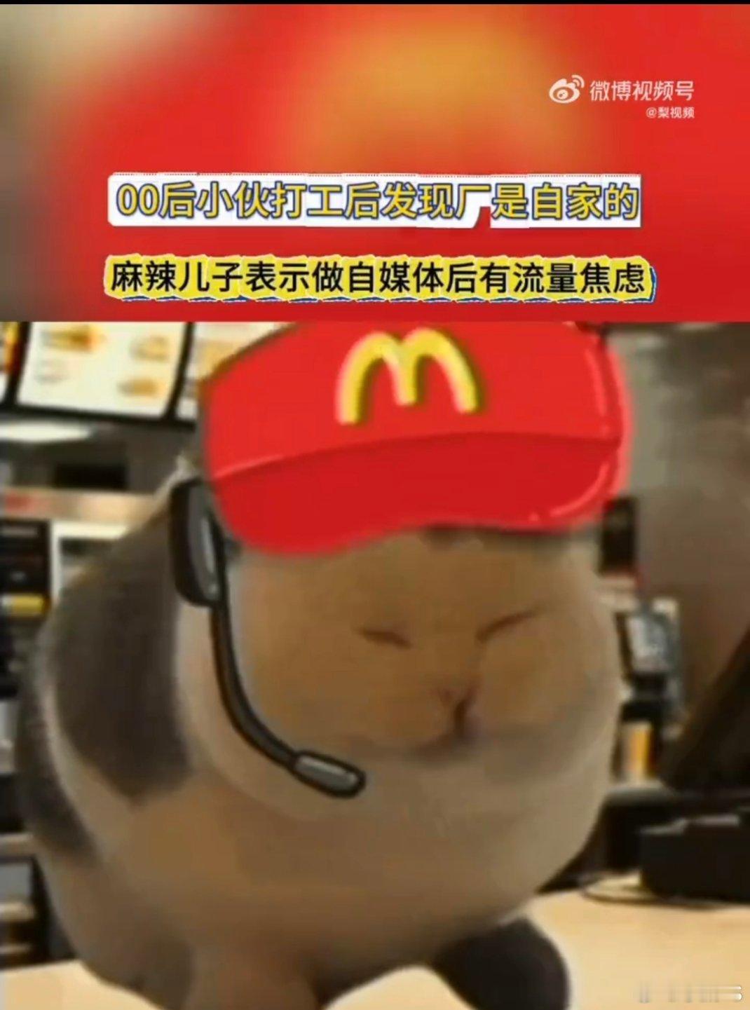 00后小伙打工后发现厂是自家的麻辣儿子在线吐槽！做自媒体之后，每天睁眼第一件事就