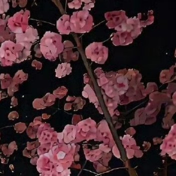 每日一善[超话][送花花]‎每日一善 [送花花]‎阳光‎信用 愿你以快乐为盾，直