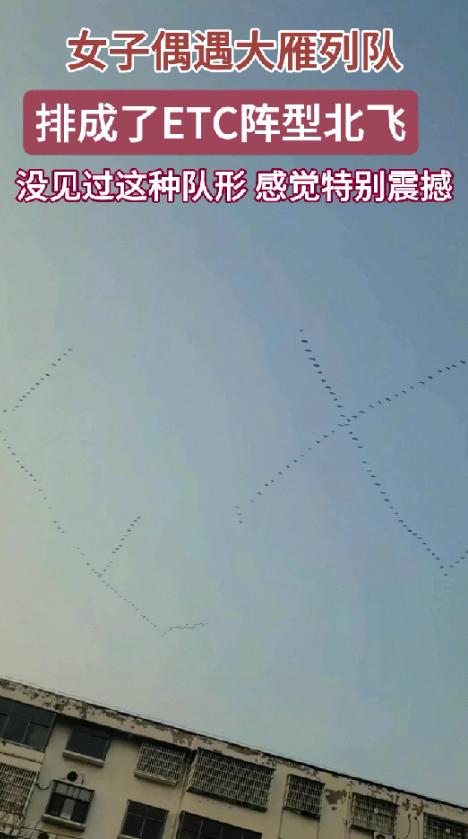 解释不清了，河南，一女子接孩子放学，发现有人指着天空，嘴里在说些什么，女子抬头一