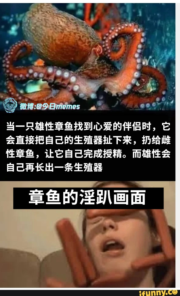 跳投（9gag） 今日meme[超话]   