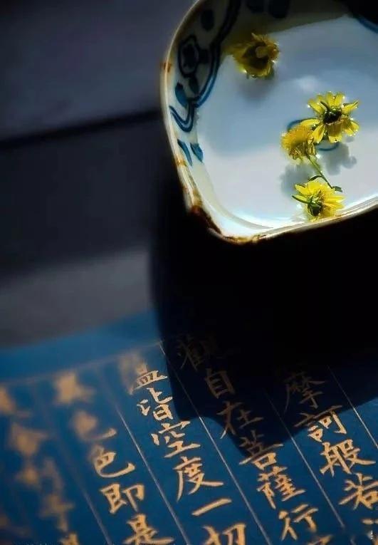 我念的经，只有四个字：“人生苦短。”因为这苦和短，我马不停蹄，一意孤行。——汪曾