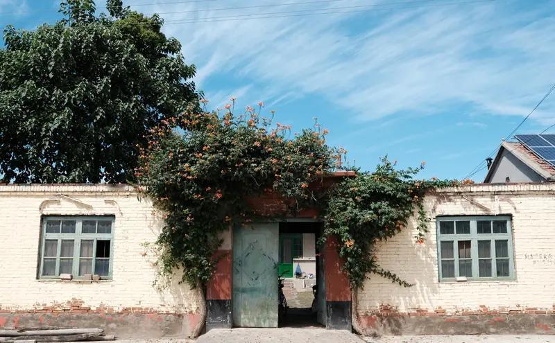 新的一年想多陪陪谁 新的一年，我就想多陪陪奶奶。刷抖音看到“交换你的2025心动