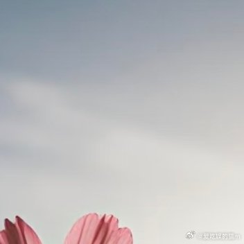 人都是这样：你羡慕我，但你不知我的苦；我羡慕你，却不知你的愁；这山望着那山高，那