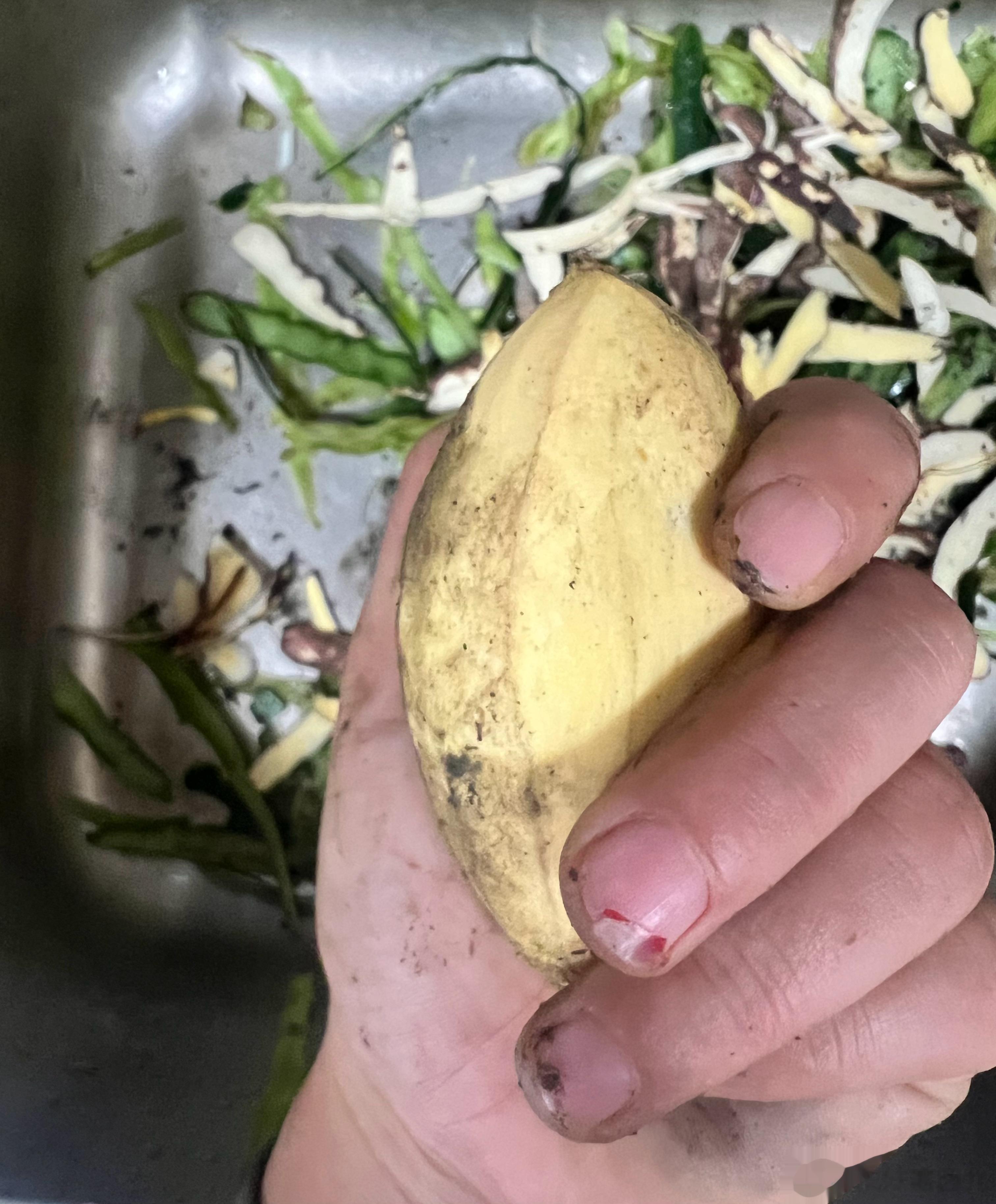 今天的饭饭吃的有亿点点痛[衰] ​​​