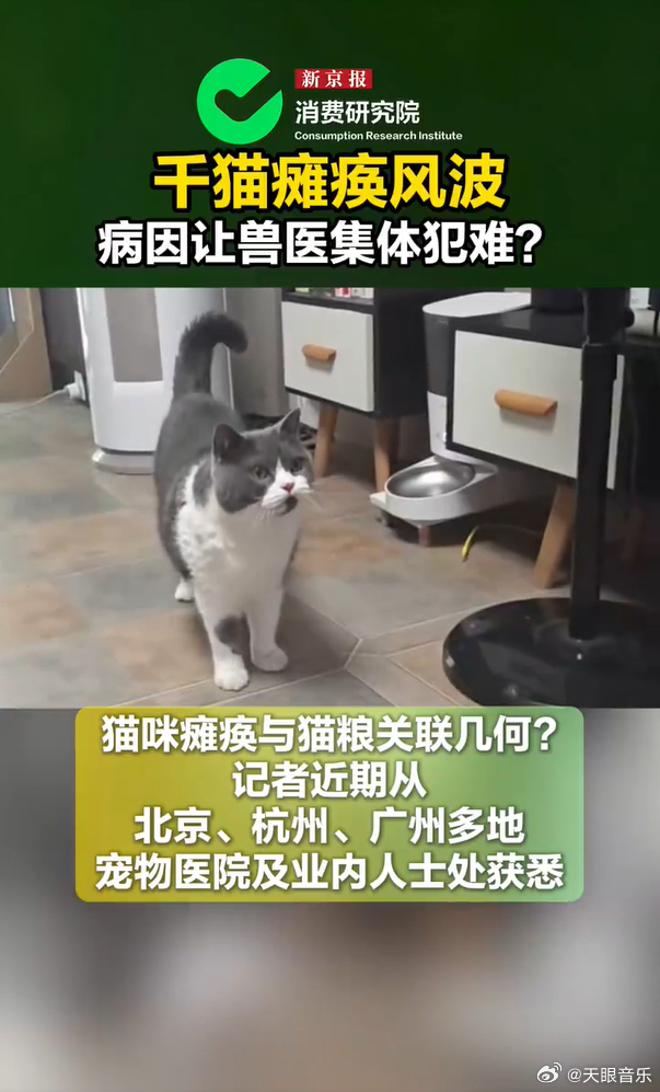 彻底分清猫狗肢体问题的区别！狗狗后腿不适病因明确、对症简单，猫咪瘫痪病因繁杂、盲