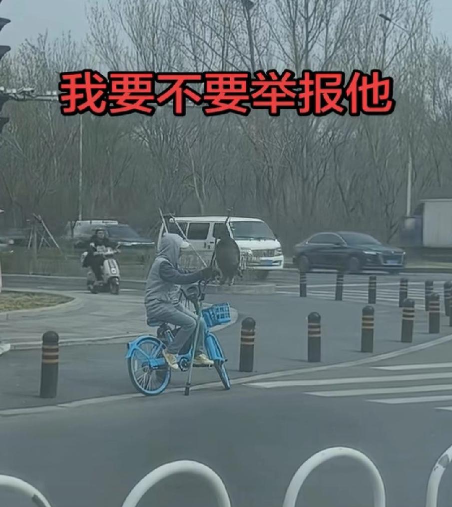 这种“街头卖龟”是典型的骗局，人民日报等官媒也多次曝光过类似套路。既然是骗局，那