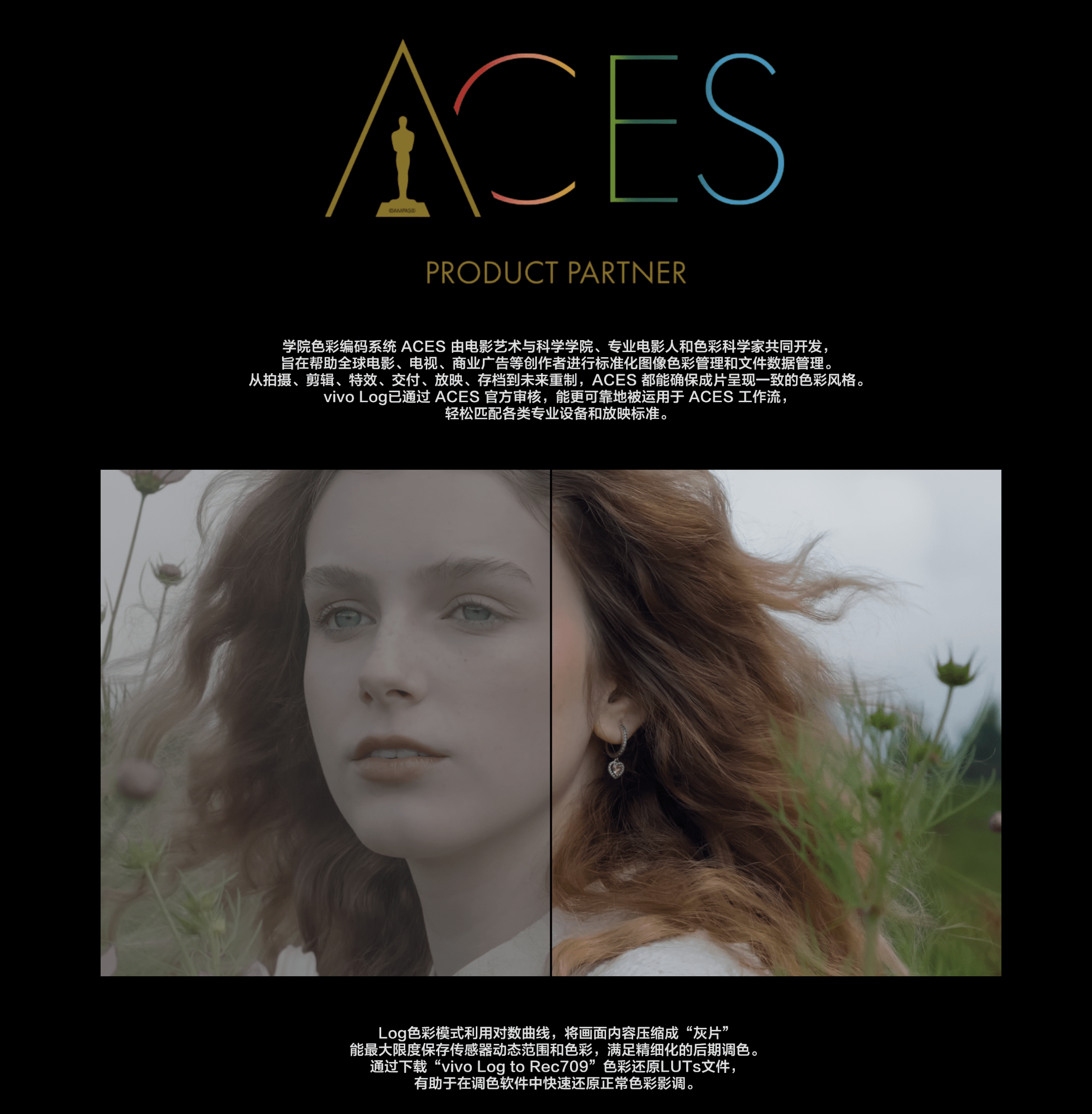 分享一下 vivo lut 的下载页面：网页链接其实也可以在官网的最下方找到链接
