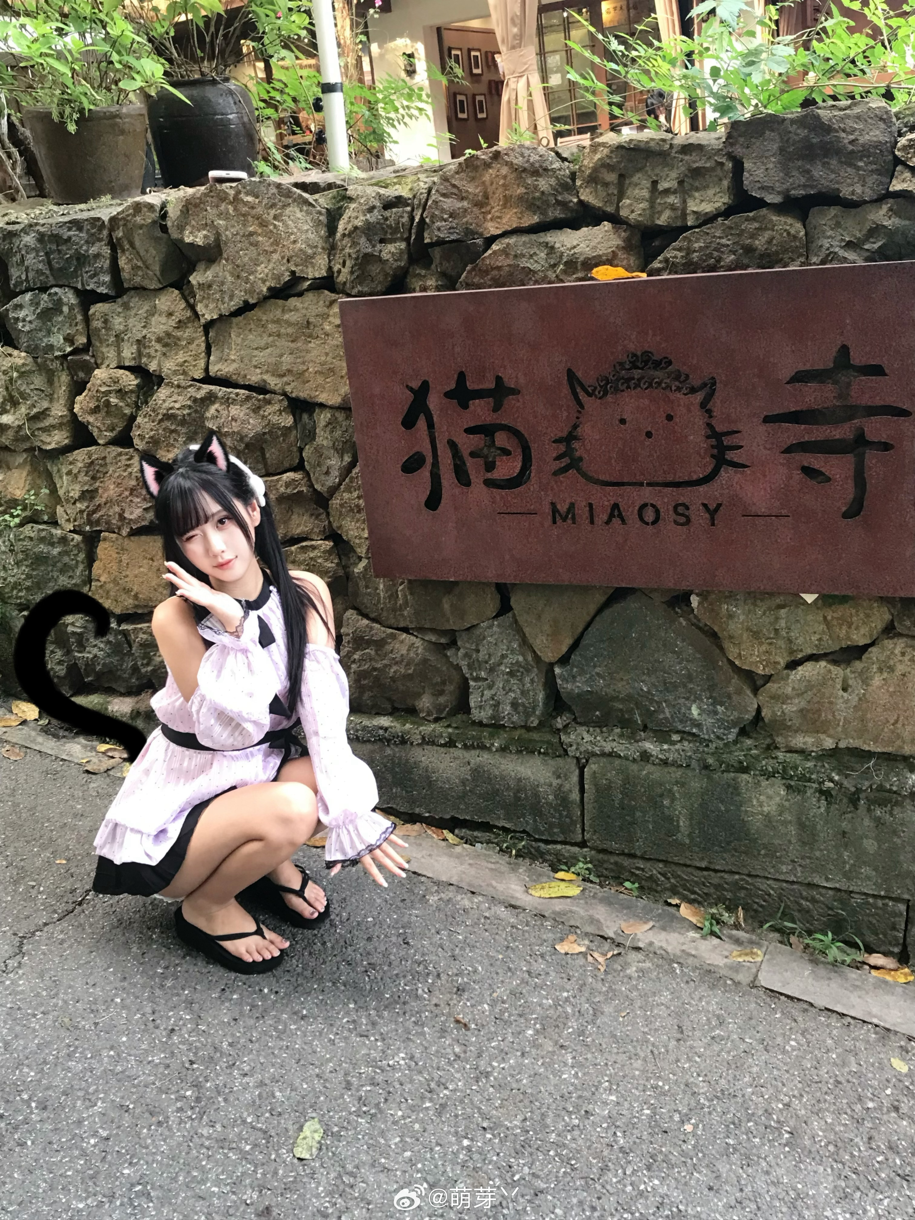 猫猫寺到此一游！ ​​​
