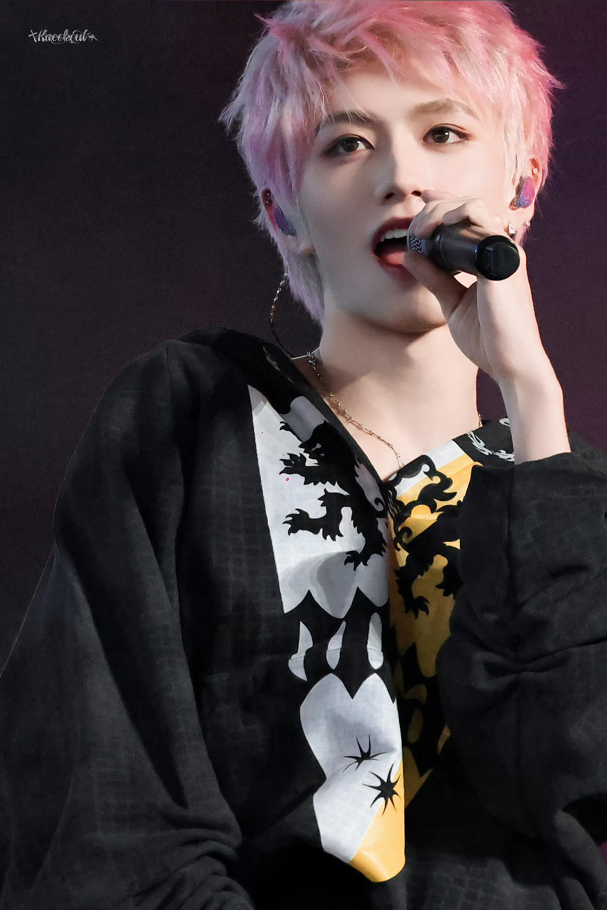 漂亮猫猫朱志鑫朱志鑫金短发