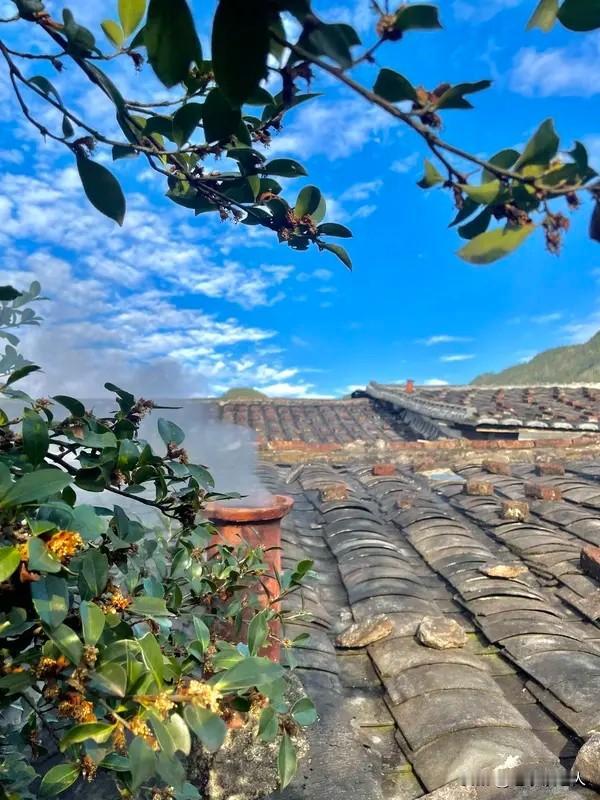 人至暮年，年届七八十，一般而言，无论身体多么康健，老人的大脑都会渐趋混沌、老化，