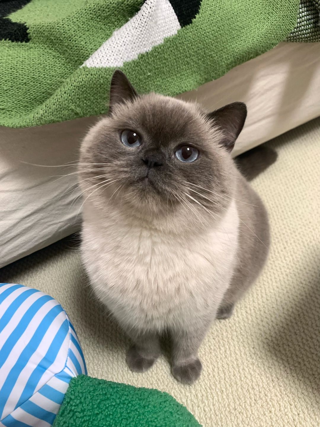 说他长得像家用煤气罐，他就生气了…