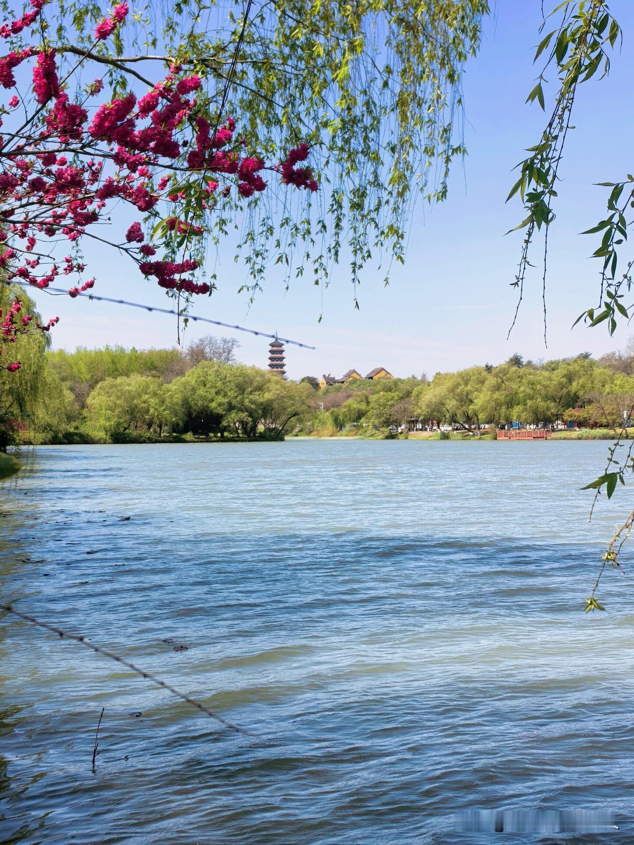 人这一生一定要来一趟扬州，
最好当然是在烟花三月，
领略这世间风物的美好。