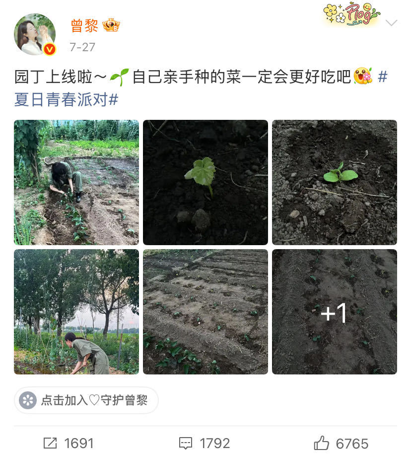 曾黎种菜收菜的过程好治愈 有人能懂我看曾黎种菜是很解压的一件事吗！有种劳动后流过