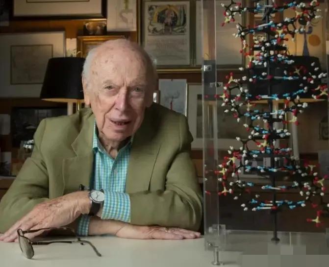 2007年，“DNA之父”詹姆斯·沃森在研究DNA结构时断定，黑人属于未进化人种