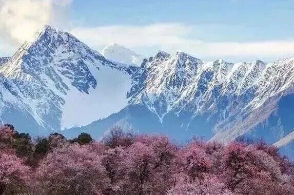 记录我的2026现在孩子不想再去体制内考了。去乡镇干一辈子，一个月也就那么三四千