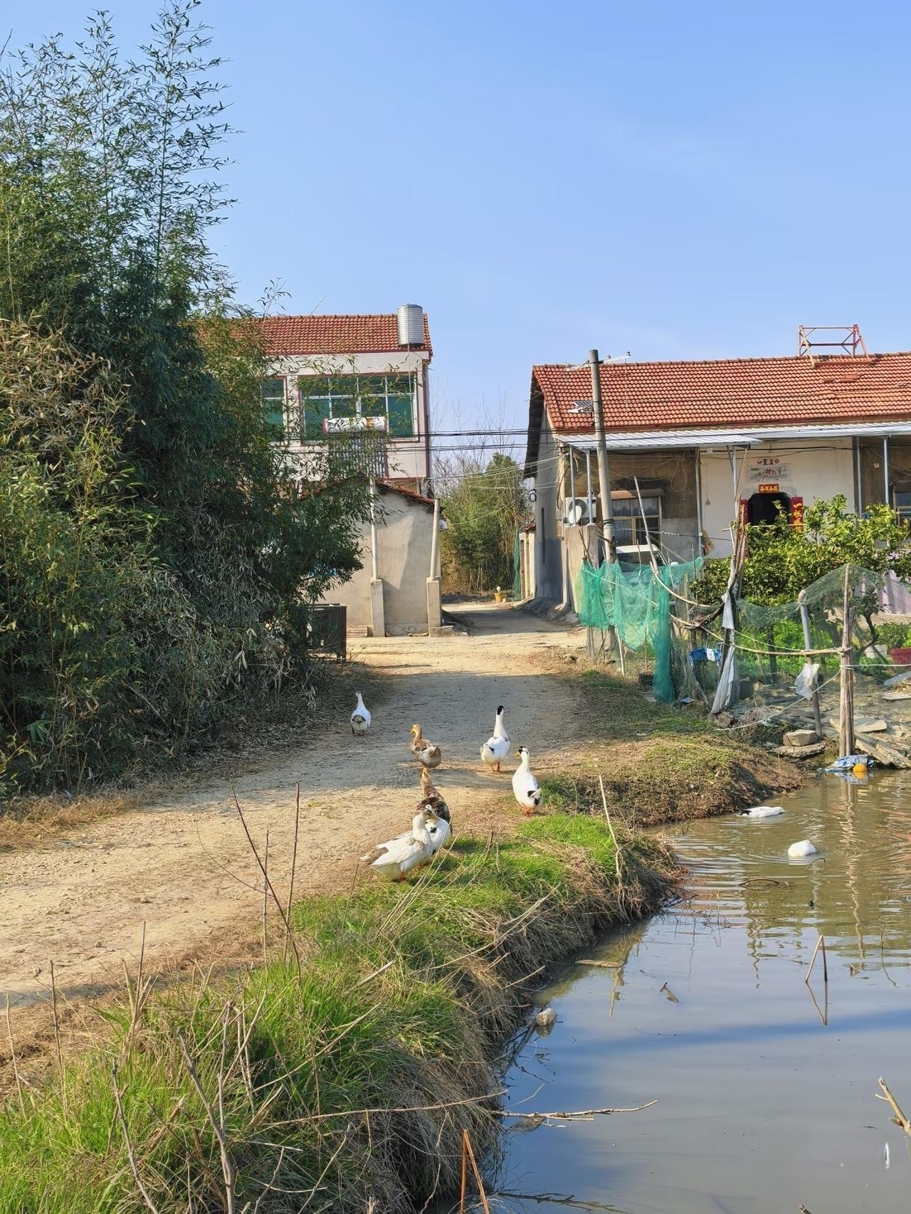 你信不信，

一旦你辞了职在家休息，

最先离你而去的，不是银行卡余额，而是自由