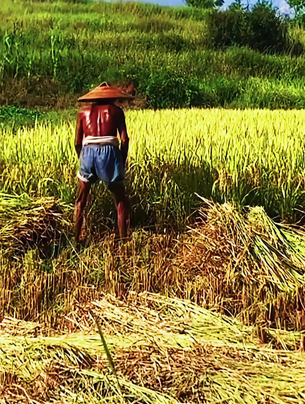 今天我来把实话实说，你们发现了没有？家里50以下的人基本都不在家出去打工了，而在