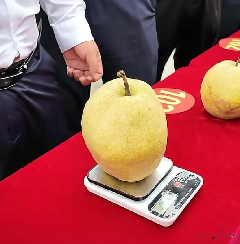 2026年中国农民丰收节宿州主场“科技杯”，第七届优质砀山酥梨品鉴活动现场上，砀