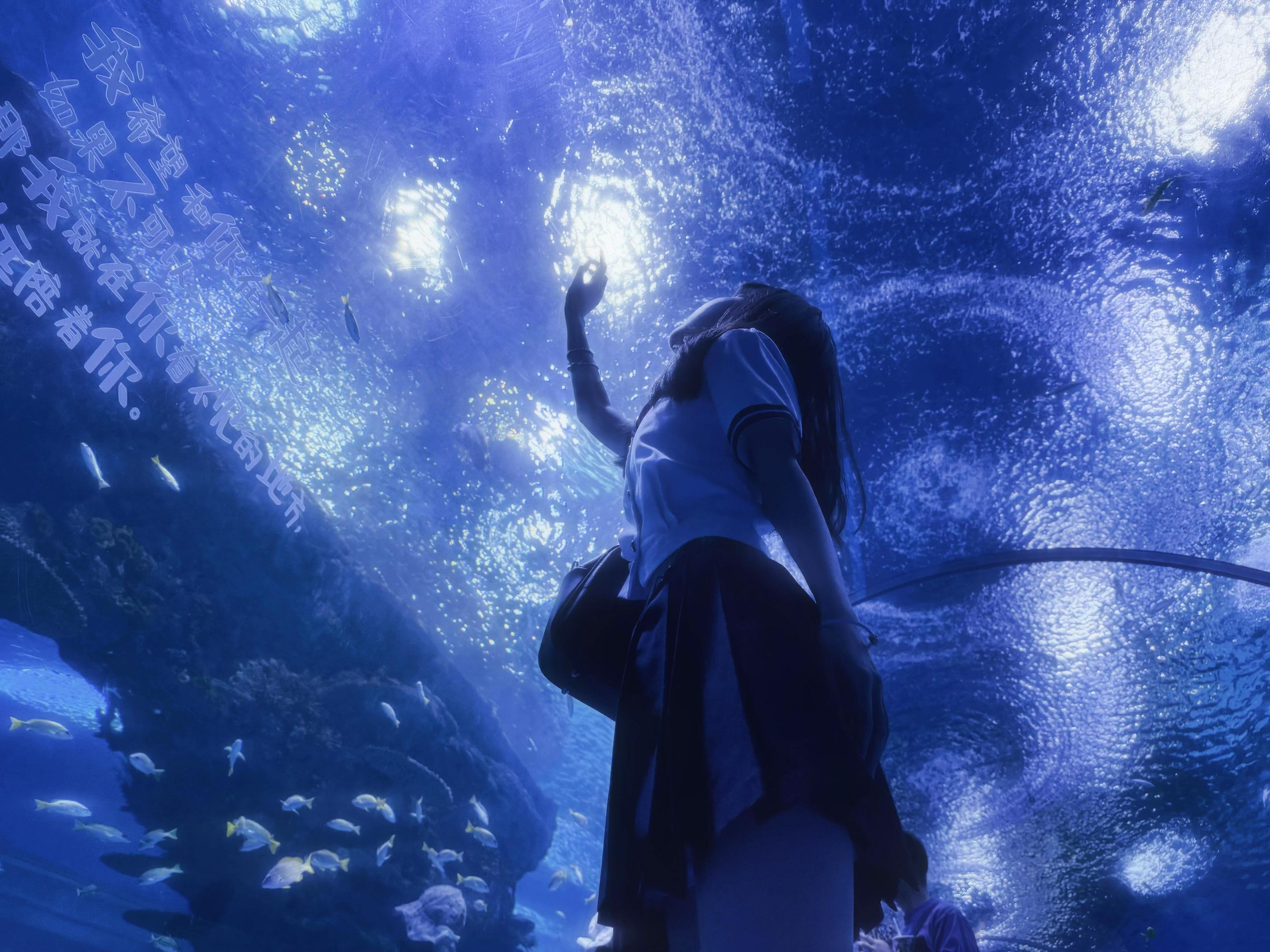 “我们的距离如此遥远..”