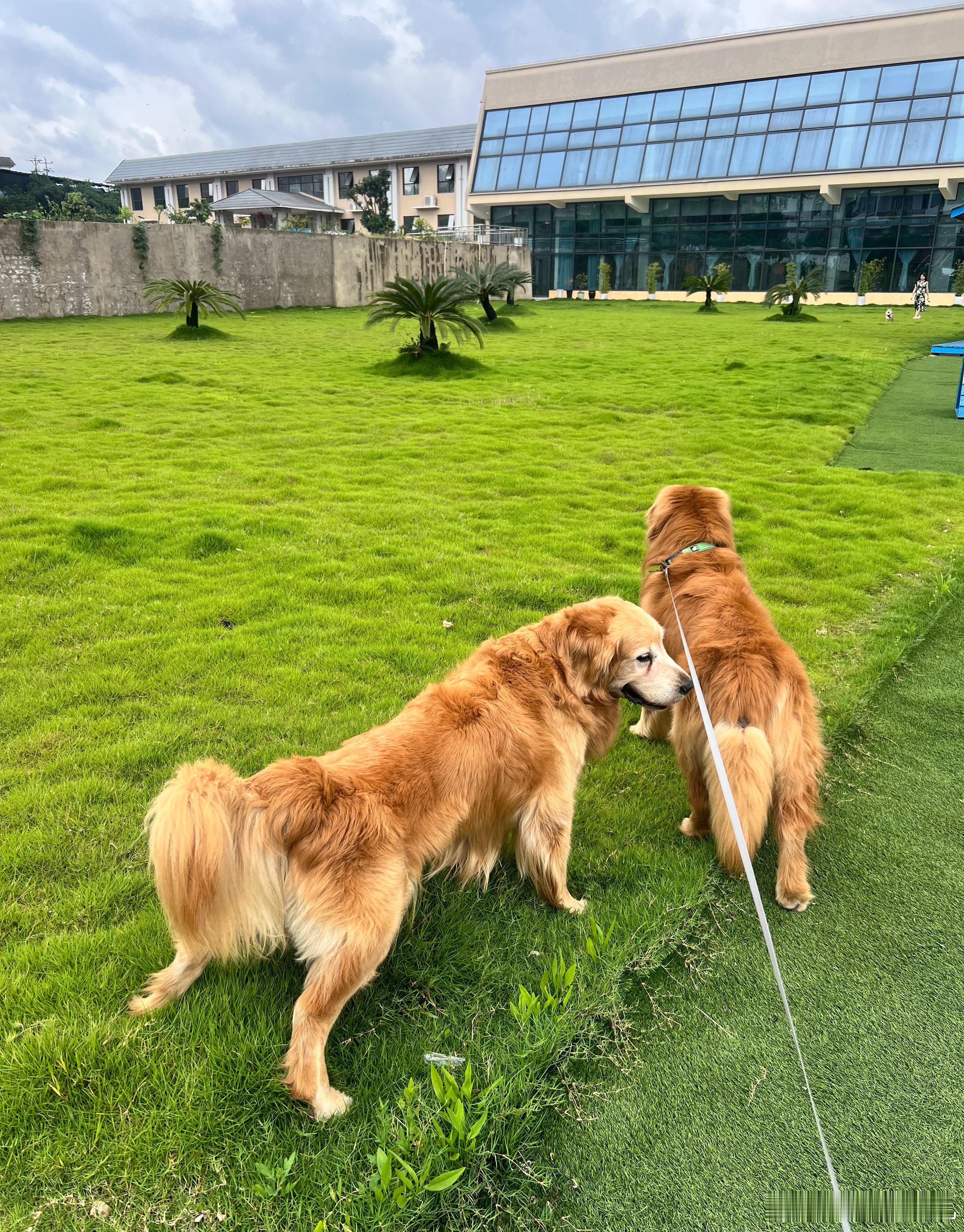 服务区拉个尿尿，继续出发[doge] ​​​