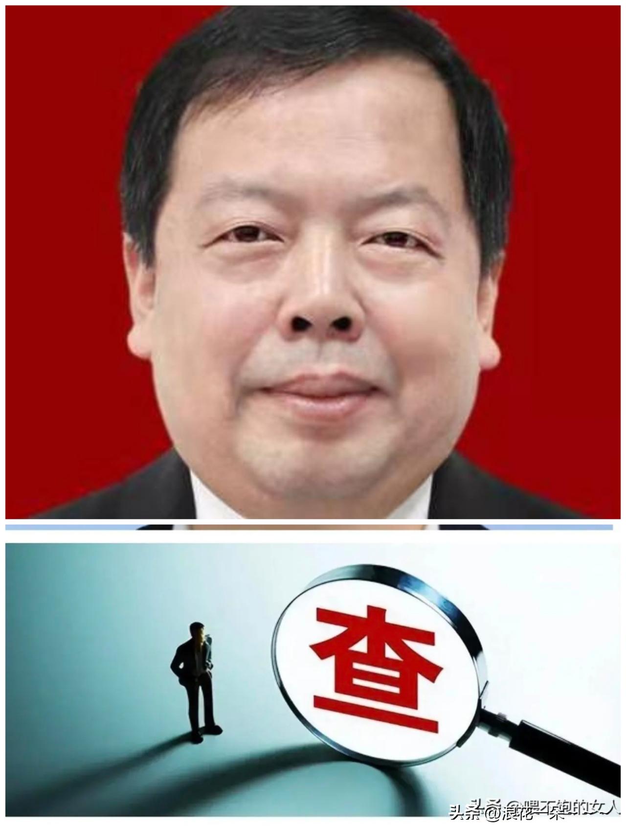 ……6月29日，一级高级法官“曲海滨”被查，于是看了一下他的工作履历，拥有法律硕
