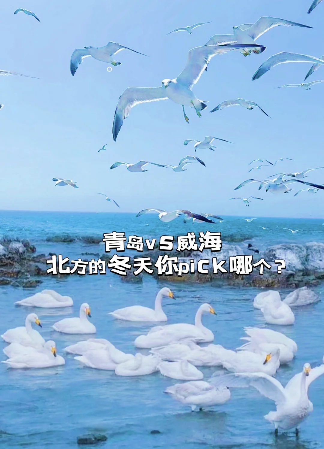 青岛和威海，冬天来沿海城市你pick哪个？