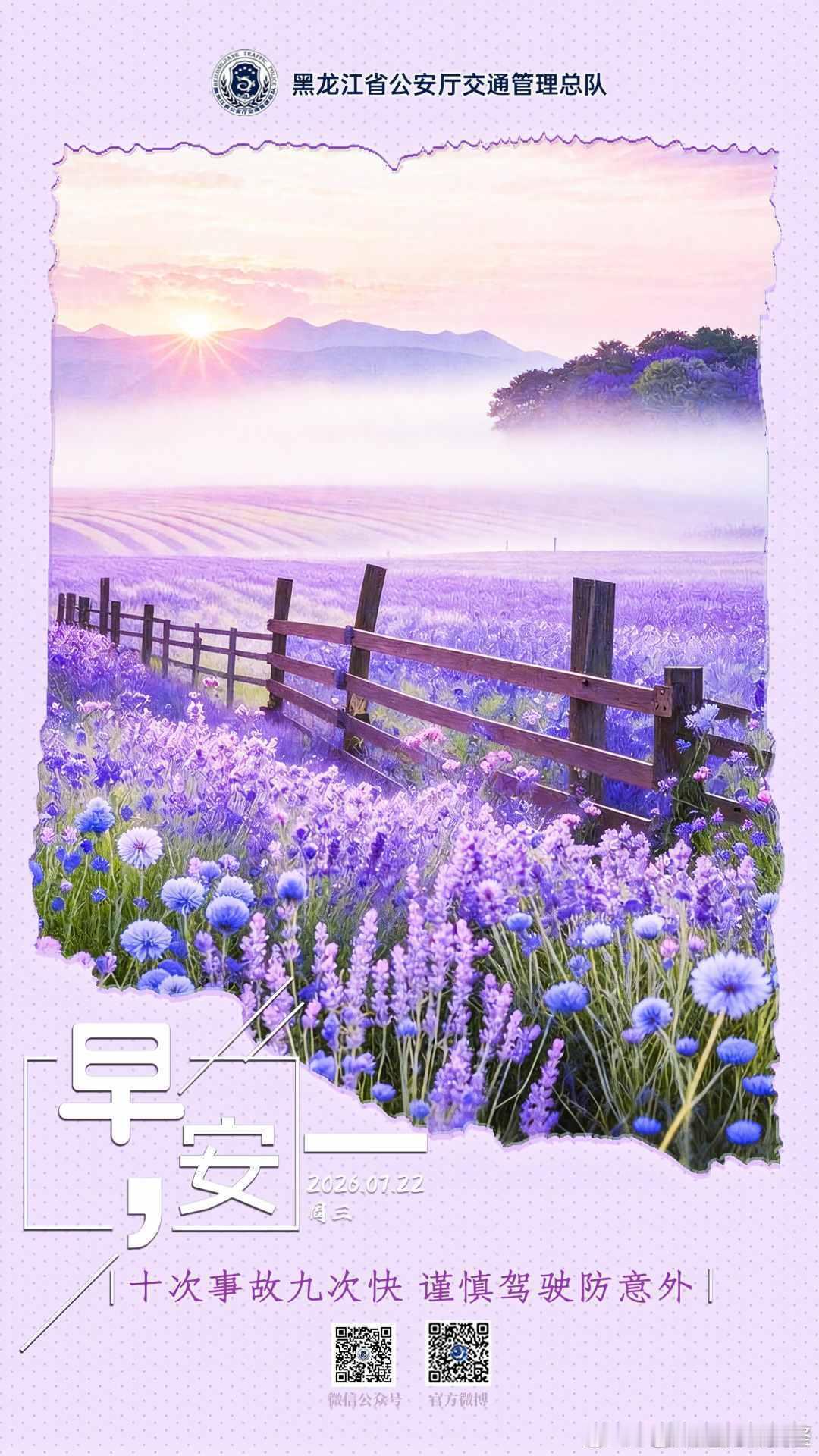 早安 十次事故九次快，谨慎驾驶防意外。早安早安高小黑蜀黍的早安提示 （