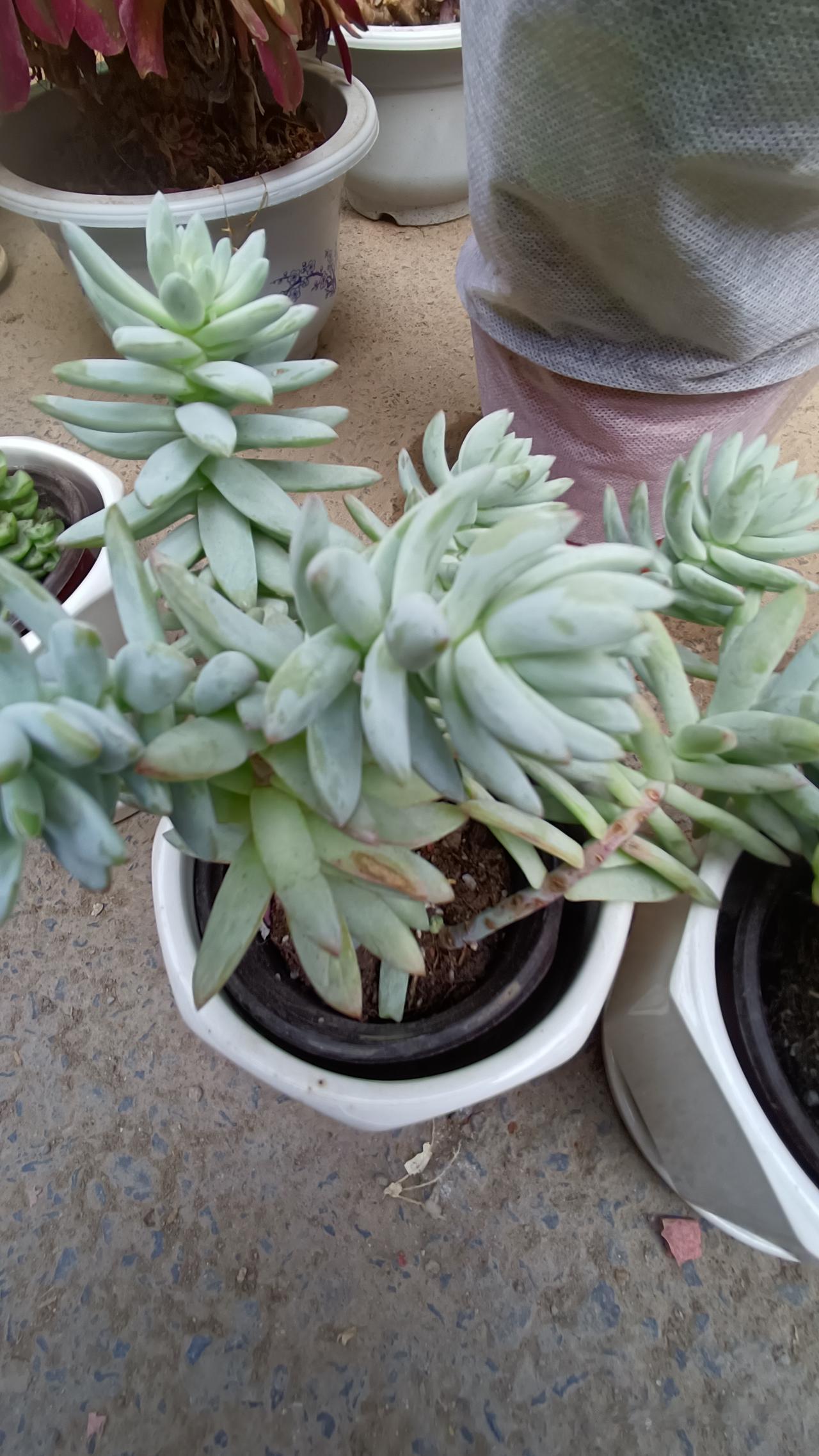 人最大的福报，其实就这几样
 
人到了一定年纪，才会彻底看透：
人最大的福报，从