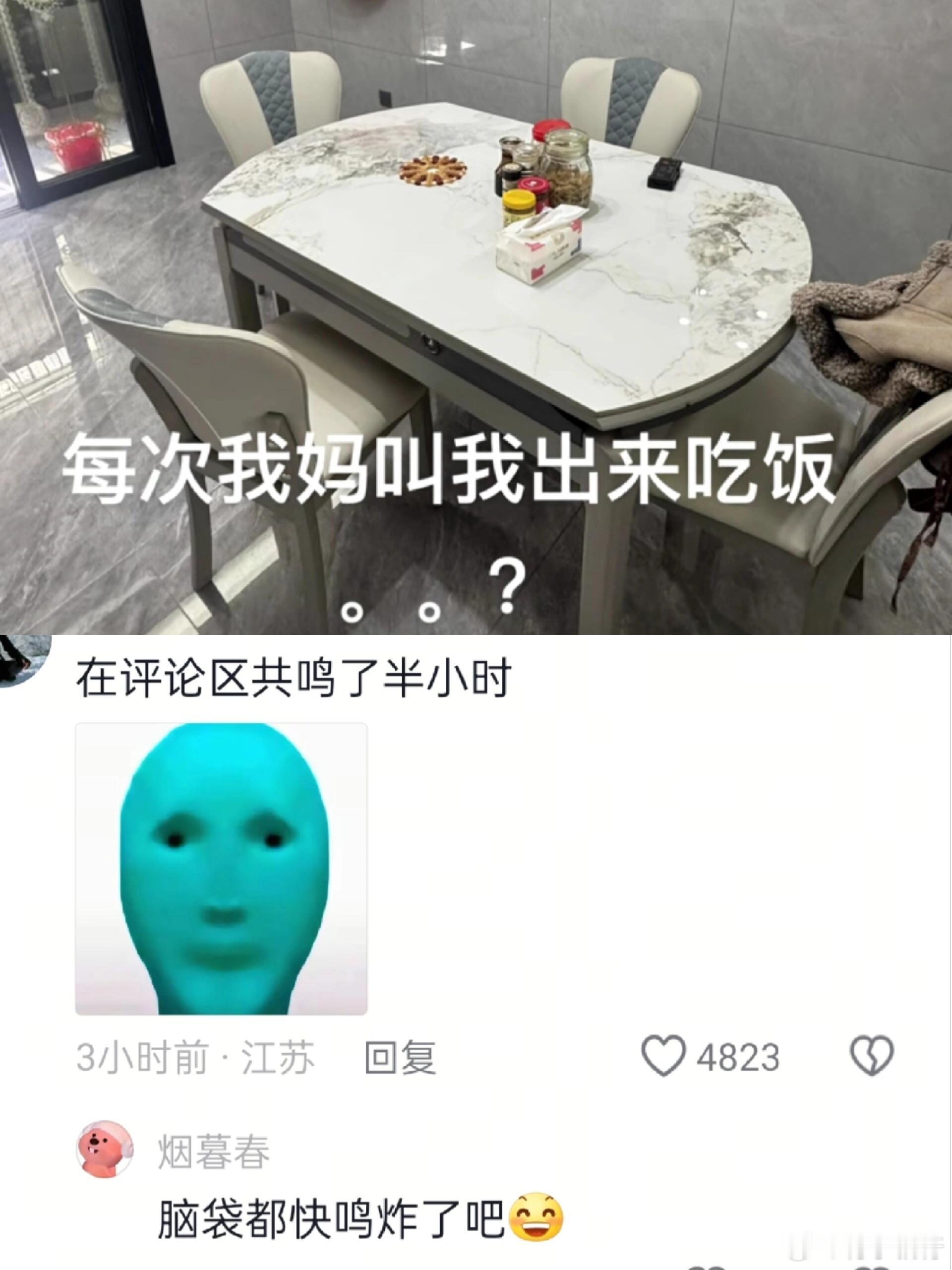 网友不语只是一味的共鸣 