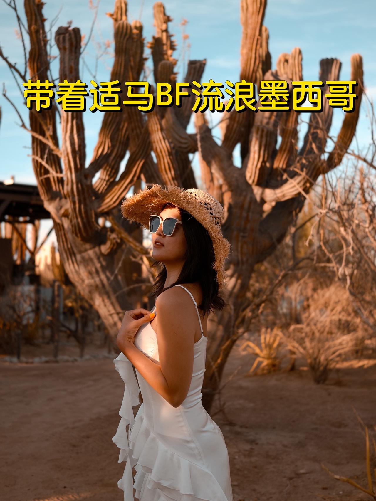 适马bf 旅行拍摄 直出