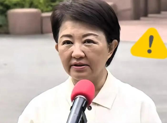 台中市长卢秀燕发布声明，

3月26日，卢秀燕窜美回台的11天，在议会备询表示：