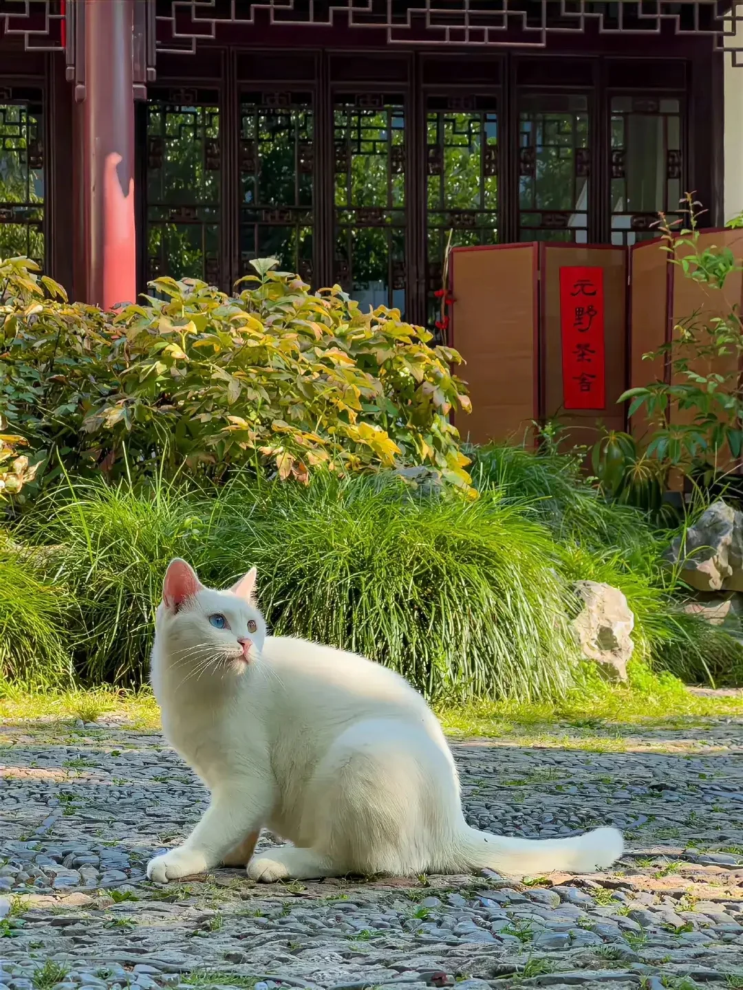 为什么听了很多道理，依旧过不好这一生？ 就是因为，很多人的道理只讲了一...