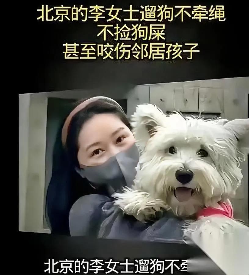 李女士追凶三年有隐情？

她的钱究竟从哪来？

看似为13年爱犬追凶的李女士，背